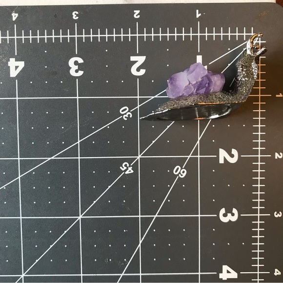 Amethyst Snail - Picture 5 of 7